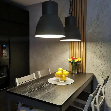 Loft Przy Wisniowej *