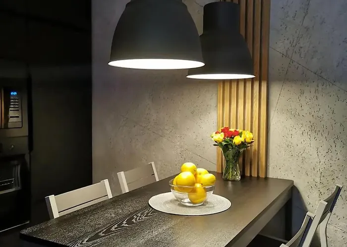 Loft Przy Wisniowej *